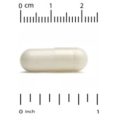 California Gold Nutrition, комплекс с цинк-L-карнозином, 90 вегетарианских капсул